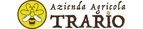 logo main