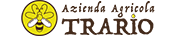 logo sticky
